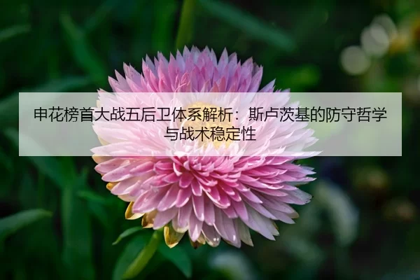 shen-hua-bang-shou-da-zhan-wu-hou-wei-ti-xi-jie-xi-si-lu-ci-ji-de-fang-shou-zhe-xue-yu-zhan-shu-wen-ding-xing-3-950.jpg