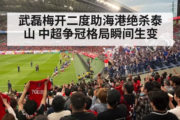soccer stadium fans