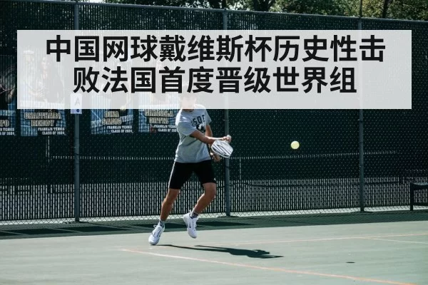 中国网球戴维斯杯历史性击败法国首度晋级世界组