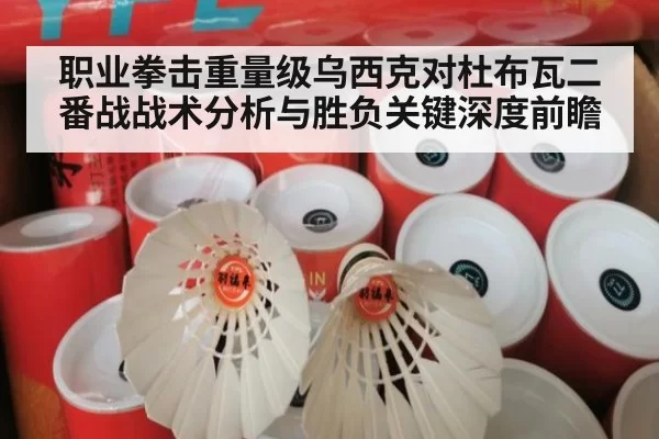 职业拳击重量级乌西克对杜布瓦二番战战术分析与胜负关键深度前瞻